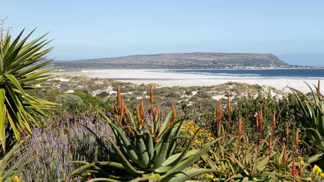 Noordhoek Bliss Beach House Villa Fokváros Kültér fotó